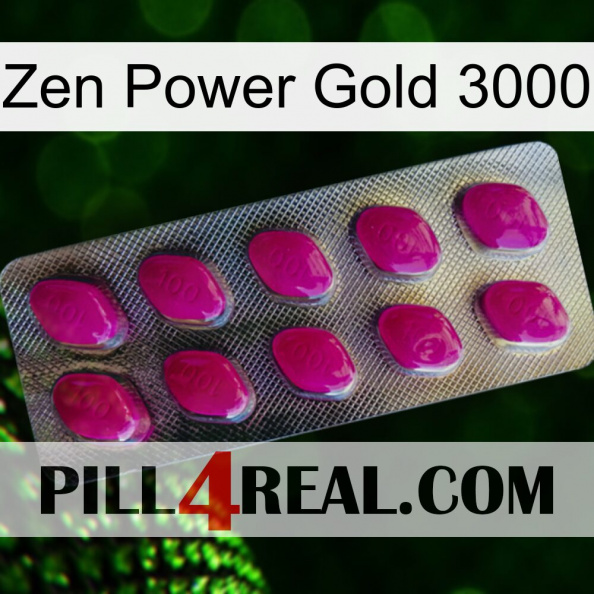 Zen Power Gold 3000 09.jpg